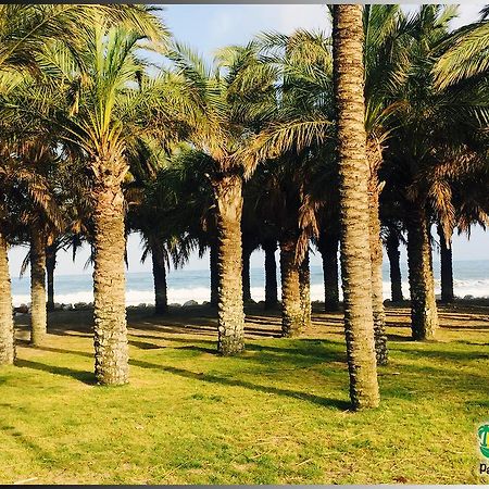 Palmeras Del Golf - Torrequebrada Benalmádena Kamer foto
