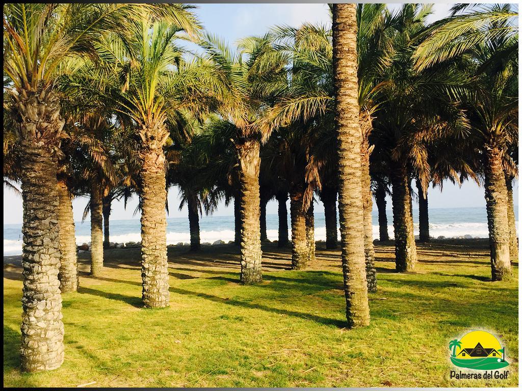 Palmeras Del Golf - Torrequebrada Benalmádena Kamer foto